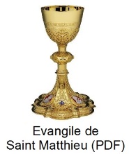  Evangile de Saint Matthieu format PDF