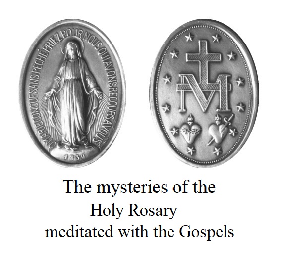   CThe mysteries of the Holy Rosary meditated with the Gospels  PDF