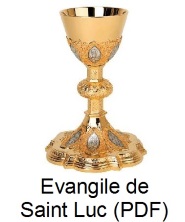 évangile de Saint Luc format pdf